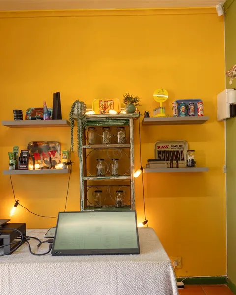 Glass jars on green apothecary shelving